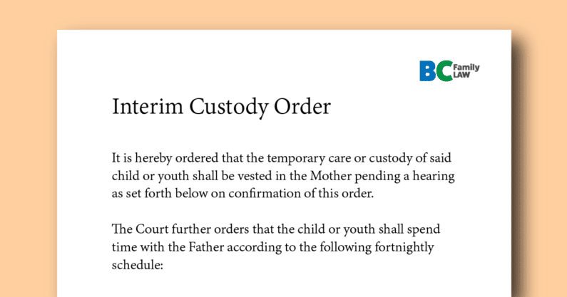 Interim Custody Order Meaning